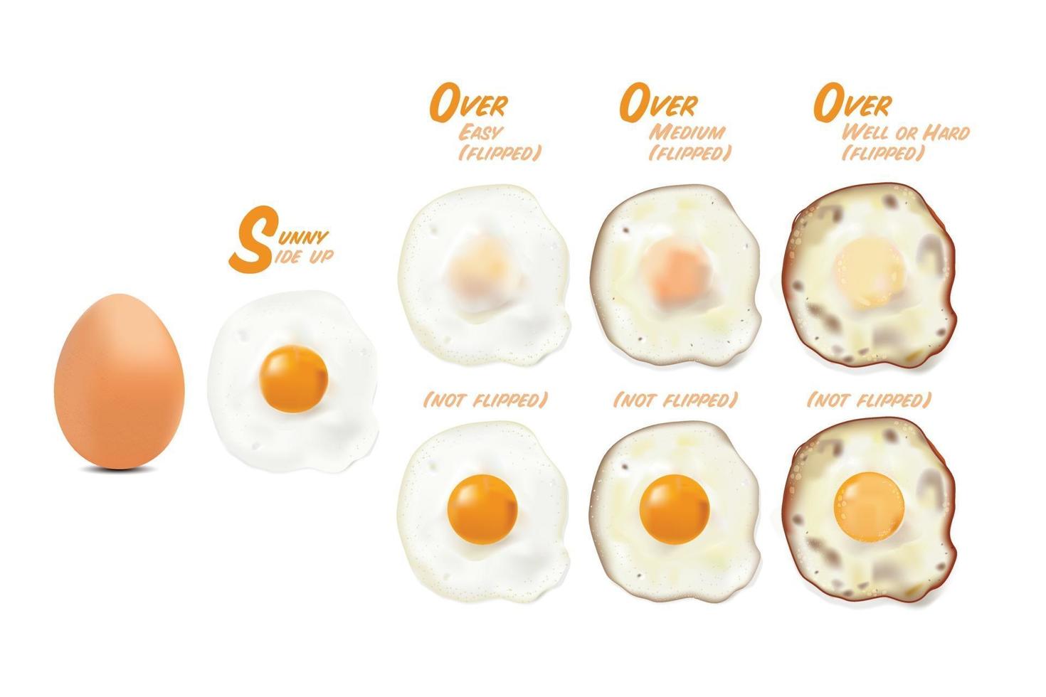 Fried eggs with raw egg picture, in basic style level of doneness set Flipped and not flipped vector illustration on white background.