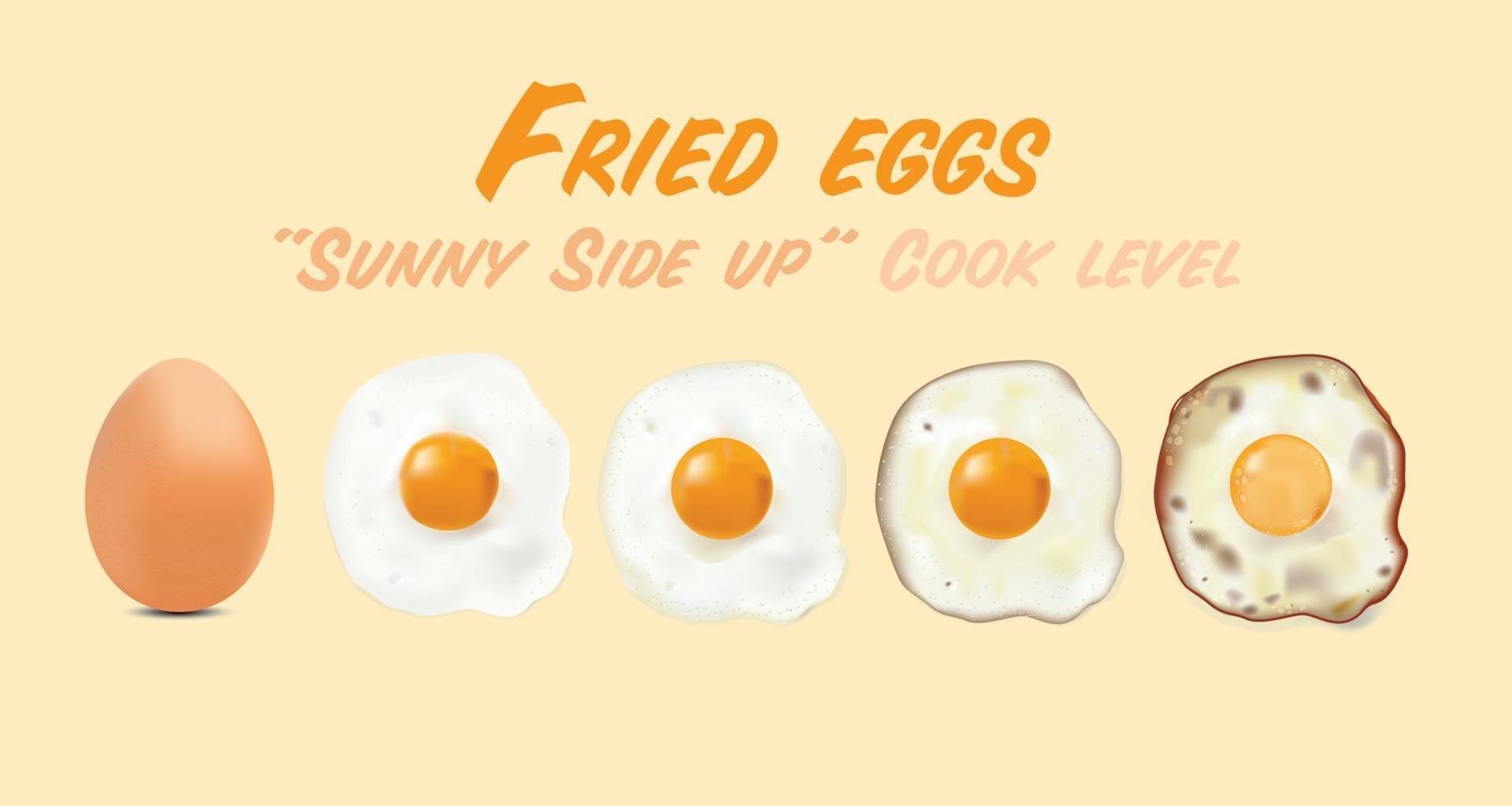 Fried eggs with raw egg picture, in basic style level of doneness set, vector illustration on egg color background.