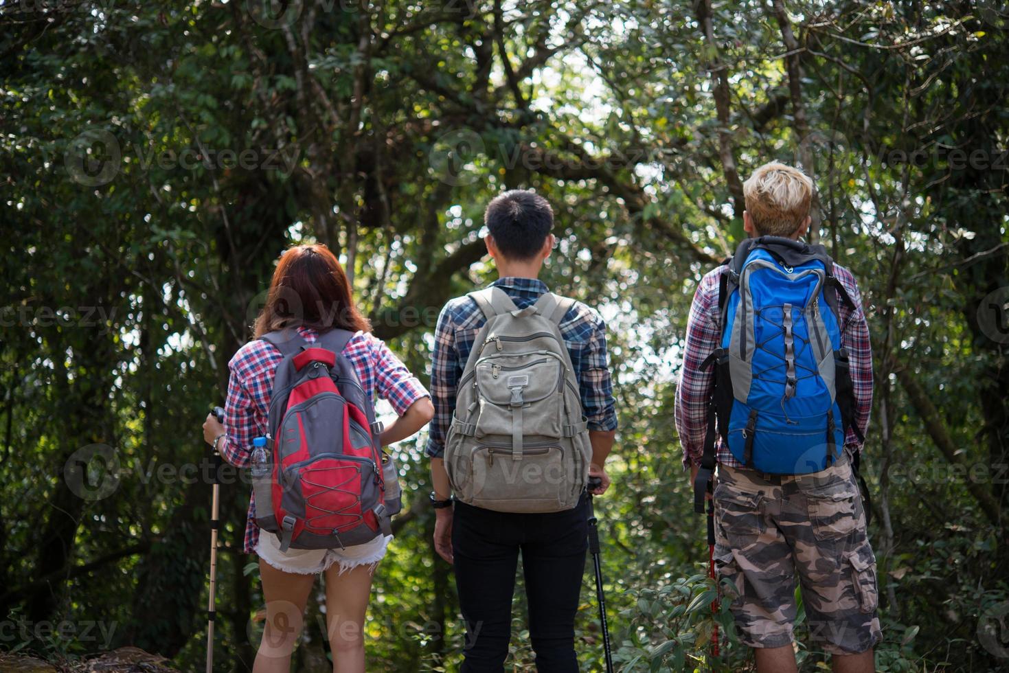 Close-up of hiker friends standing with backpacks in woods from behind photo
