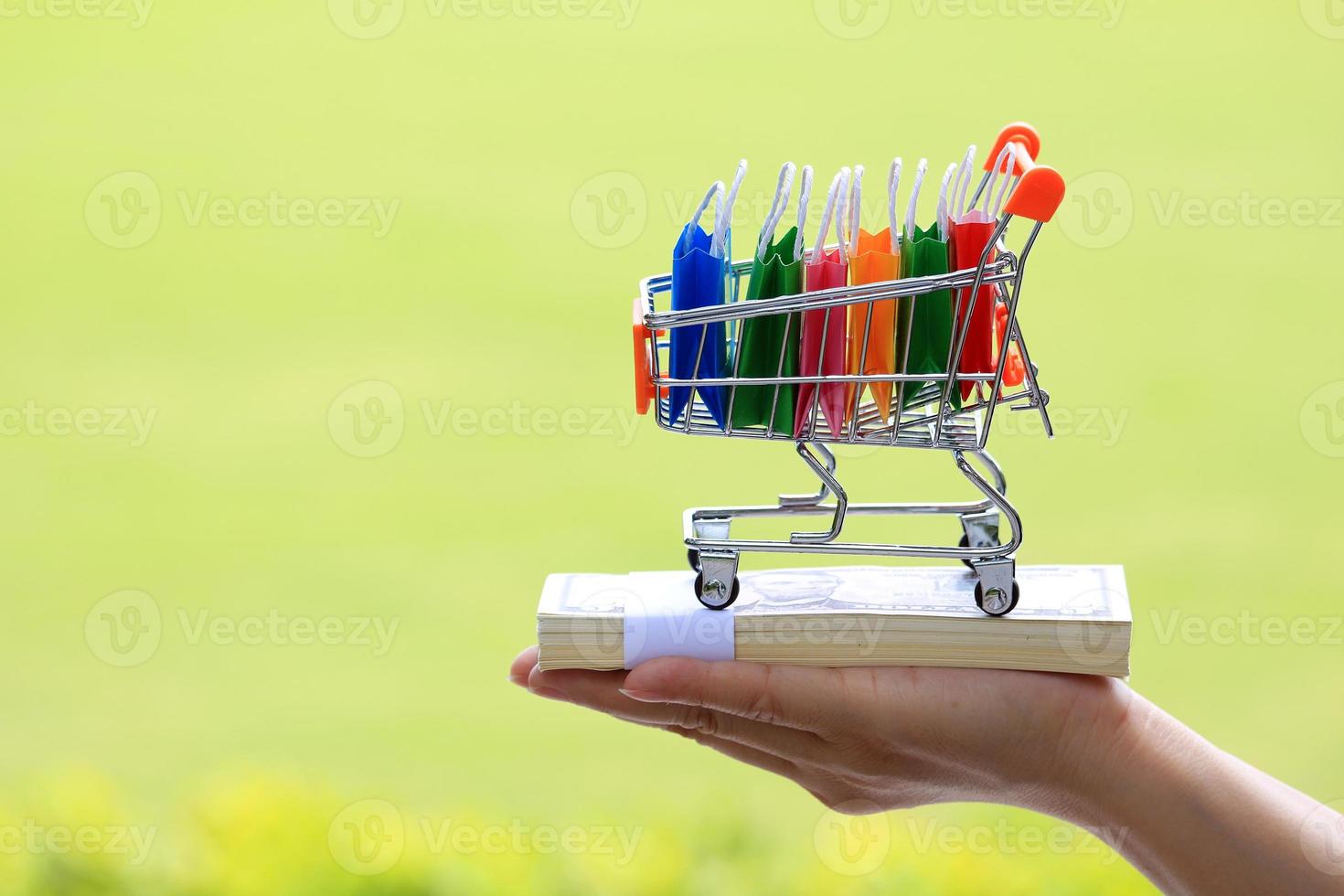 Hands holding miniature shopping cart filled with colorful shopping bags in sunlight on green background photo