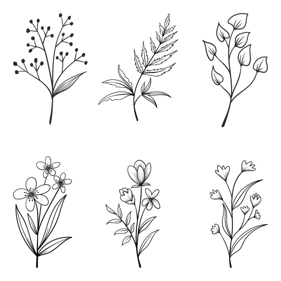 Collection of herbs and wild flowers and leaves isolated on white background. vector