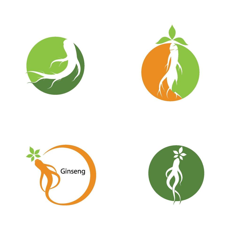 vector de logotipo y símbolo de ginseng