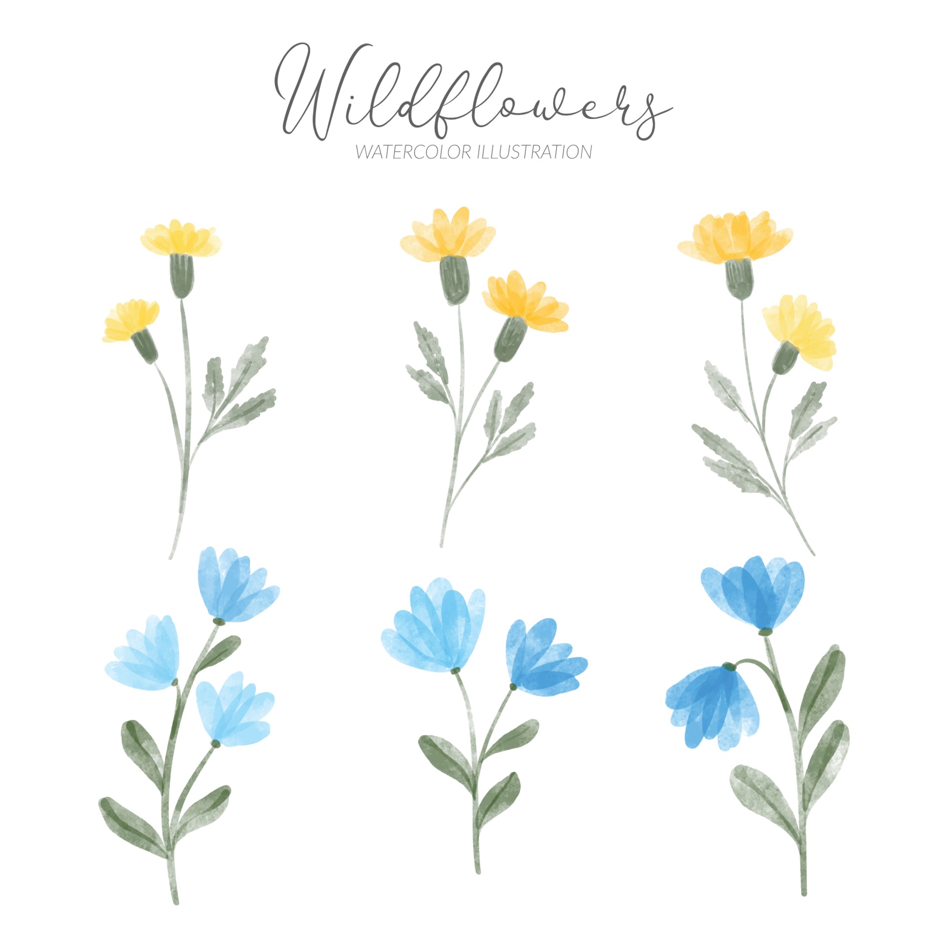 Watercolor Wildflowers Images – Browse 138,217 Stock Photos, Vectors, and  Video