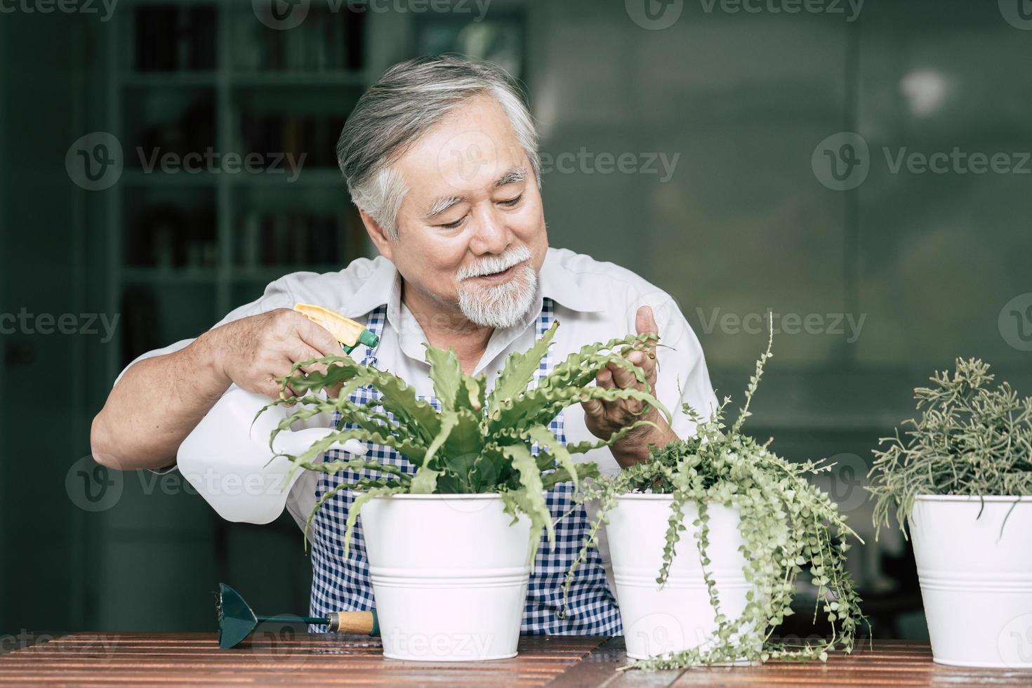 hombre mayor planta un árbol en casa foto