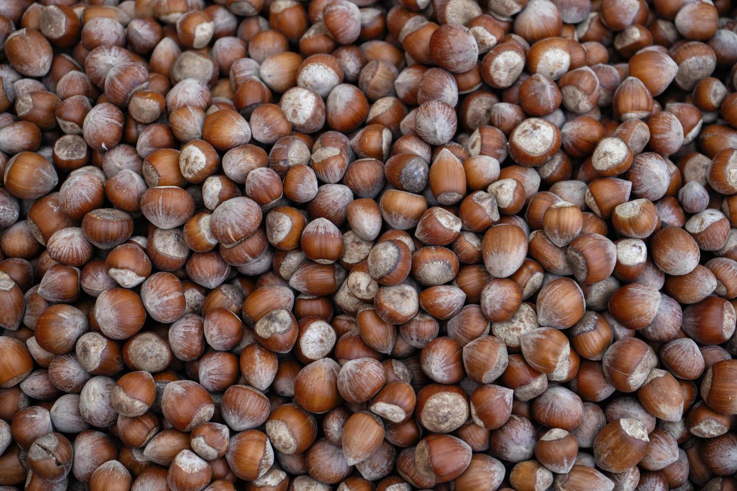 Close up of raw hazelnuts photo