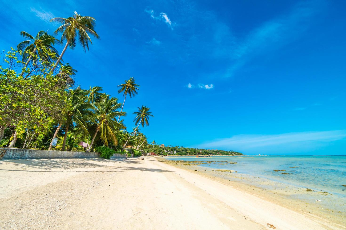 hermosa playa tropical foto