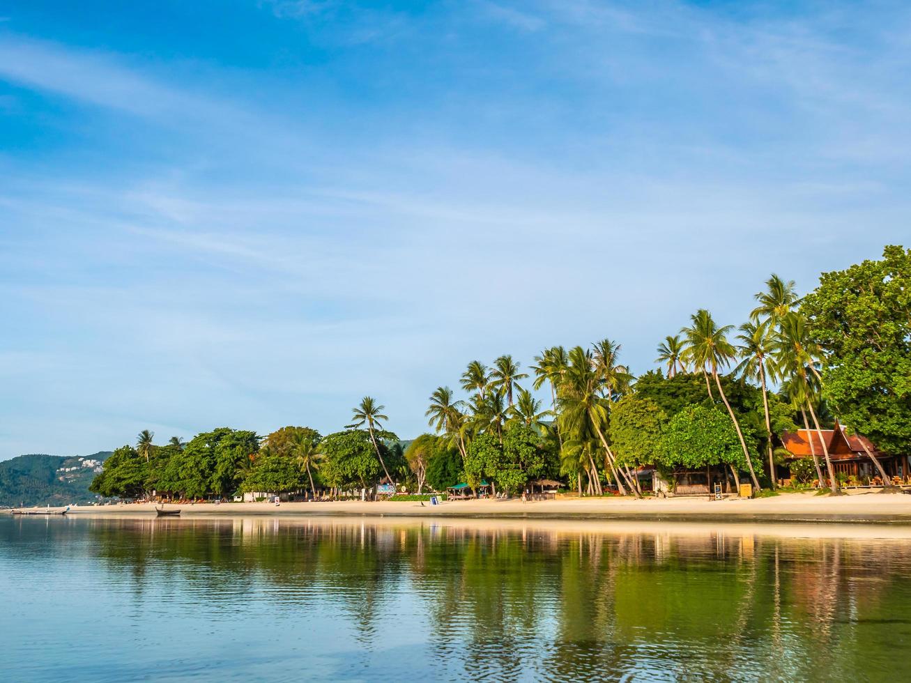 Beautiful tropical beach with palm trees photo