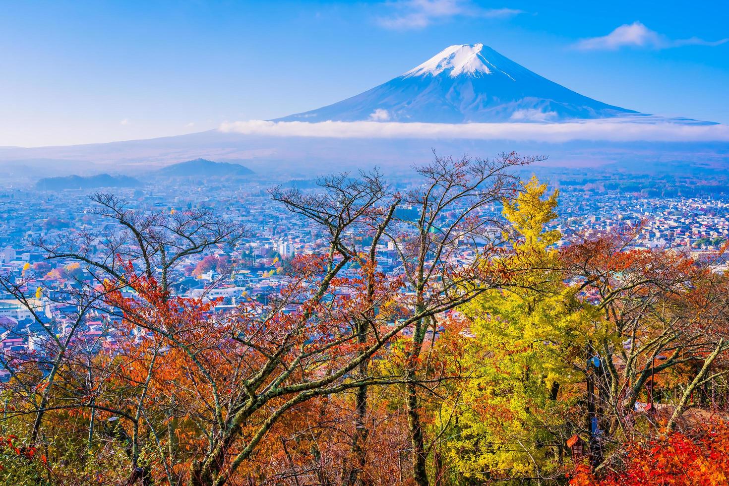 monte. fuji en japón en otoño foto