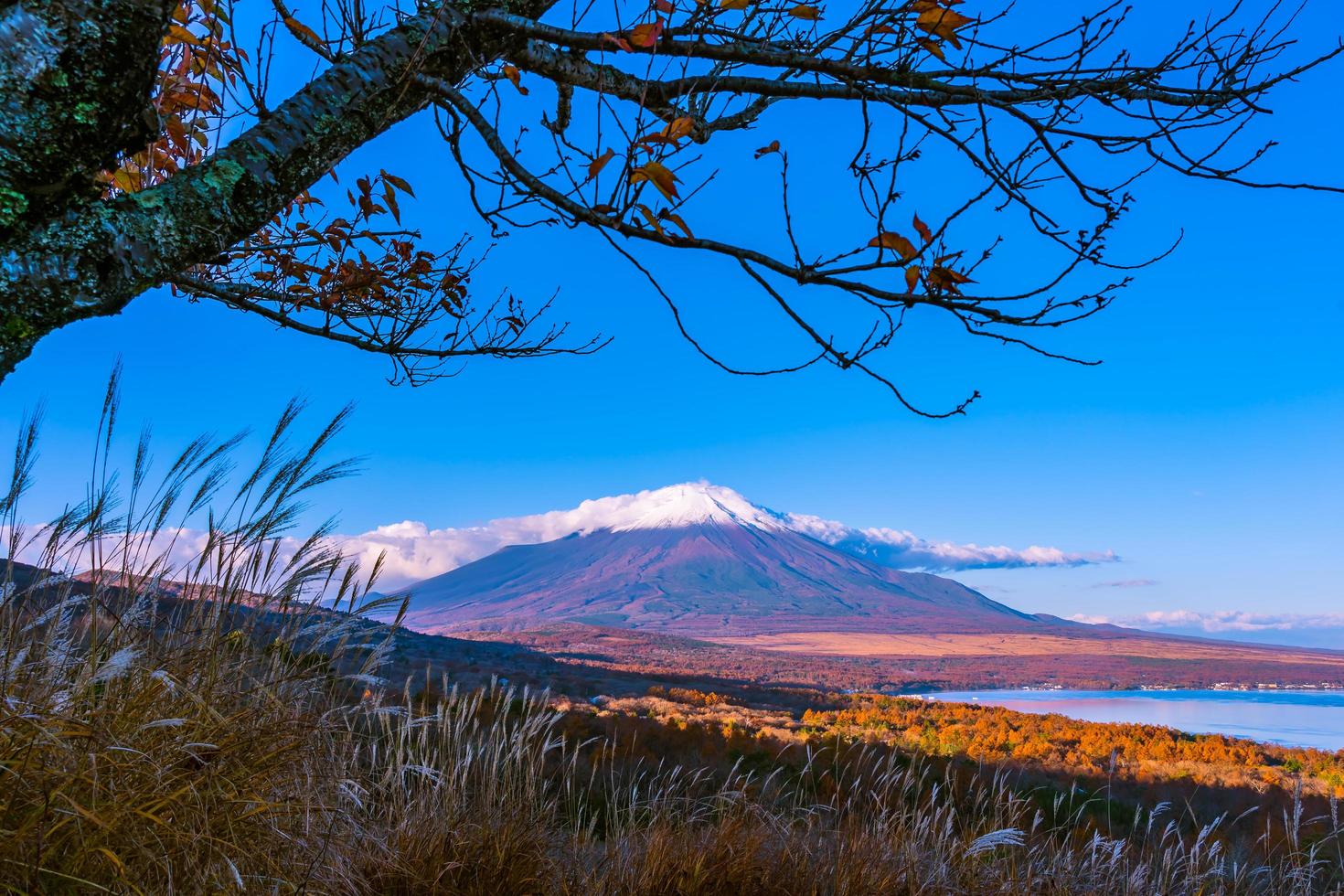 Montaña Fuji en yamanakako o lago yamanaka en Japón foto