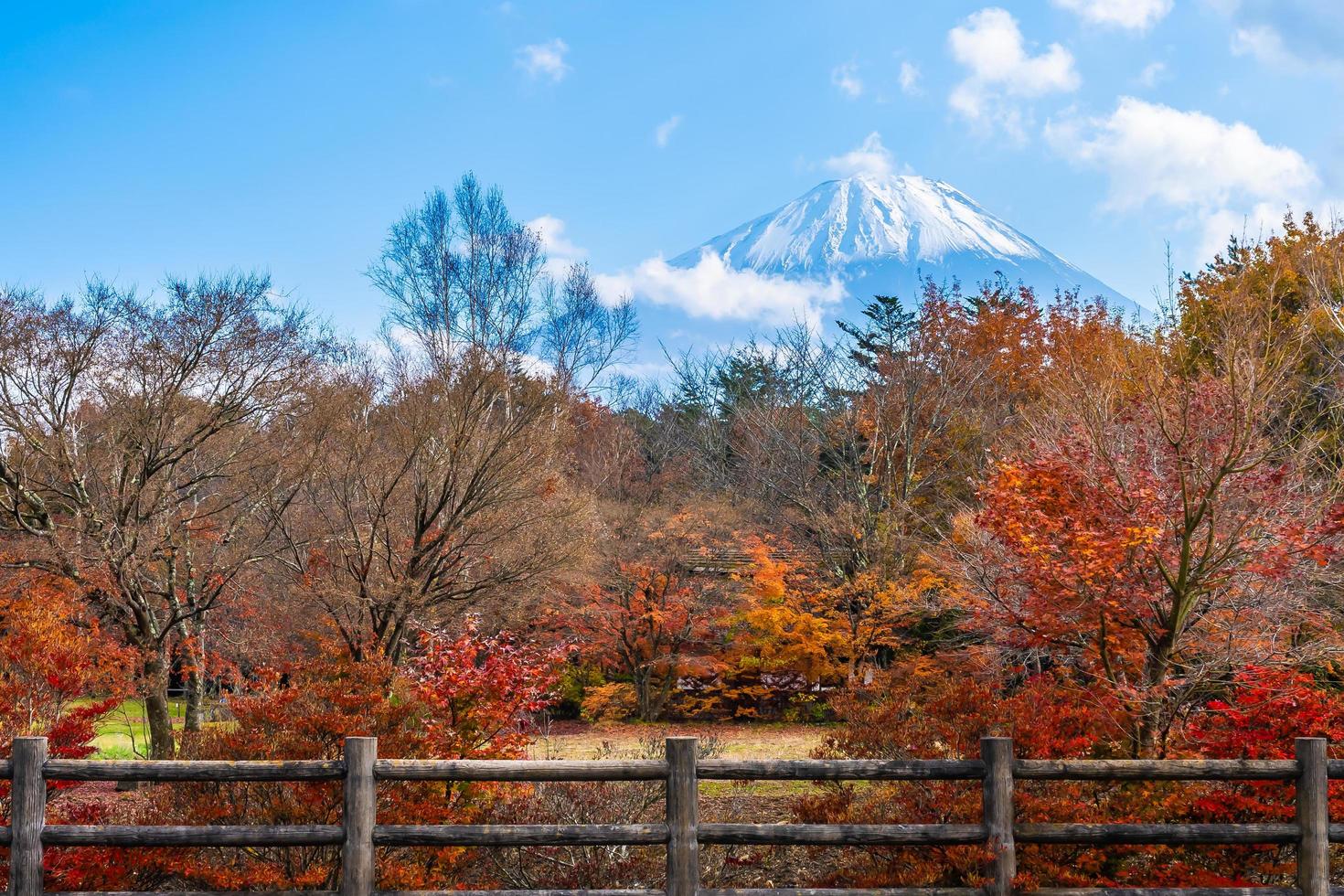 Mt. Fuji in Japan in autumn photo