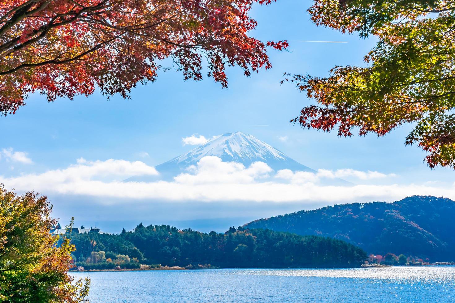 Mt. Fuji in Japan in autumn photo