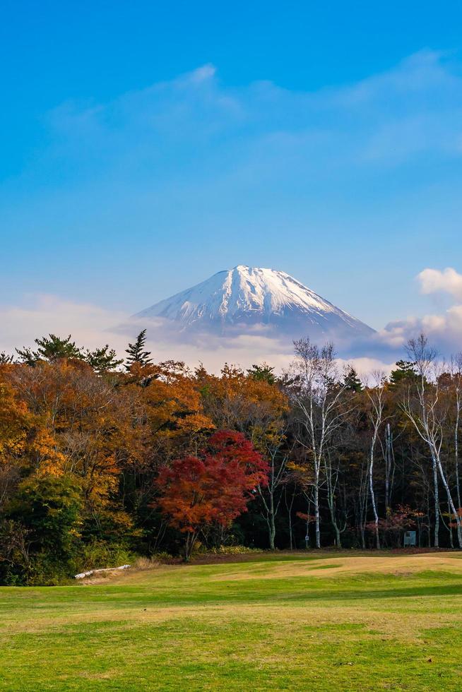 Mt. Fuji in Japan in autumn photo