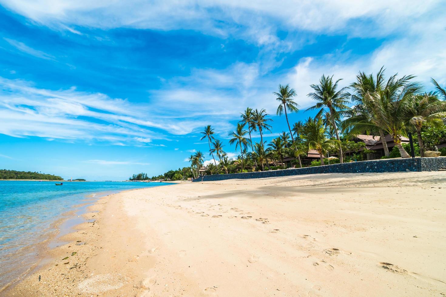 hermosa playa tropical foto