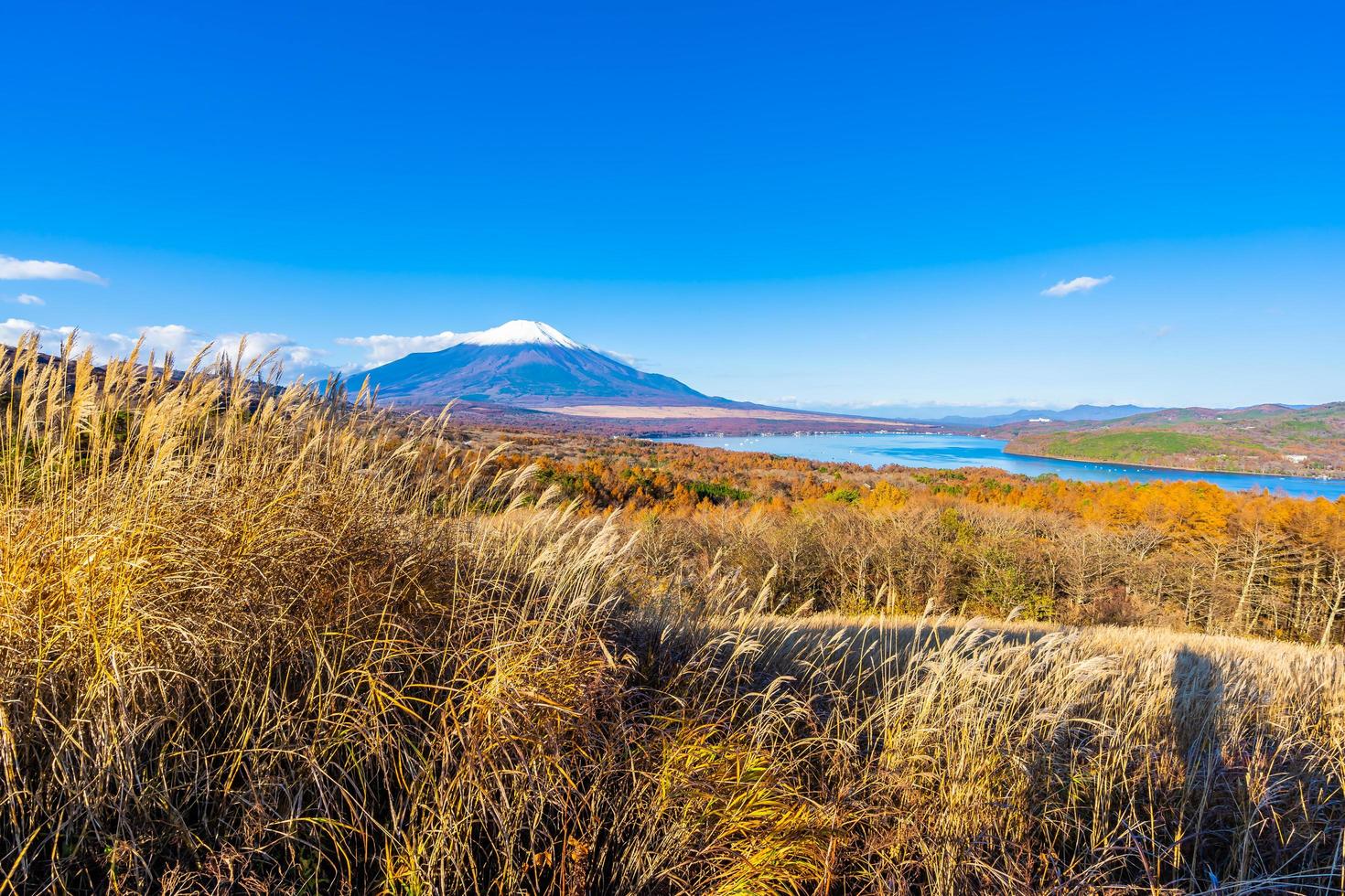 Fuji mountain at the Yamanakako or Yamanaka lake in Japan photo