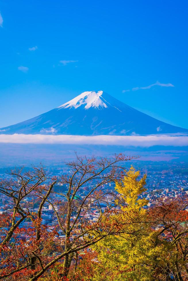 Mt. Fuji in Japan in autumn photo