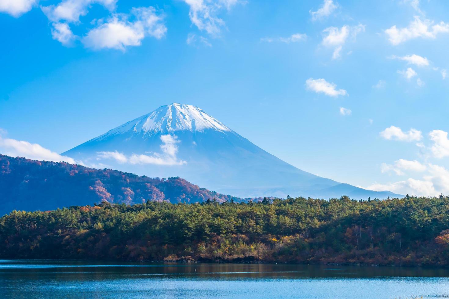 monte. fuji en japón en otoño foto