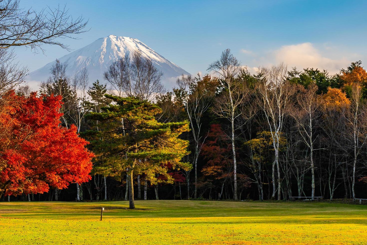 monte. fuji en japón en otoño foto