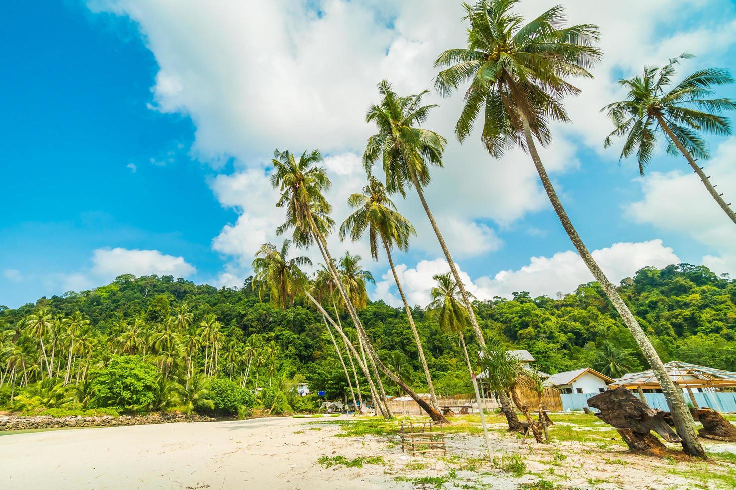 hermosa playa tropical foto