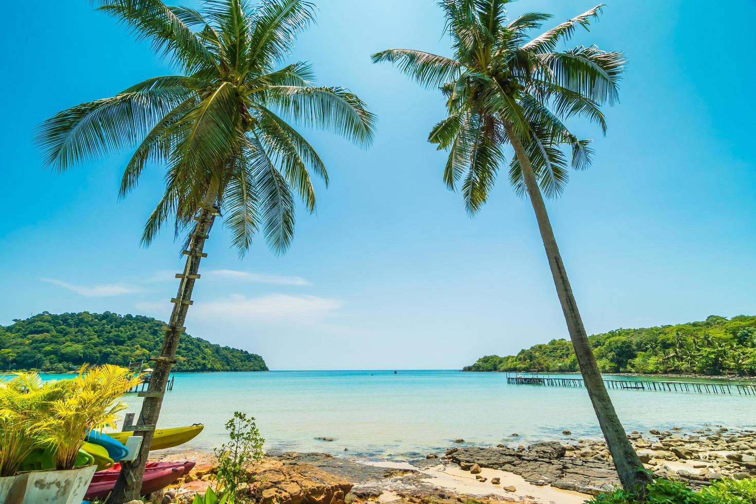 Beautiful tropical beach photo