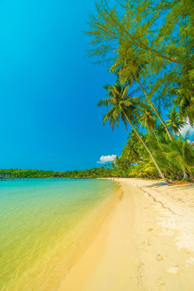 playa en una hermosa isla paradisíaca foto