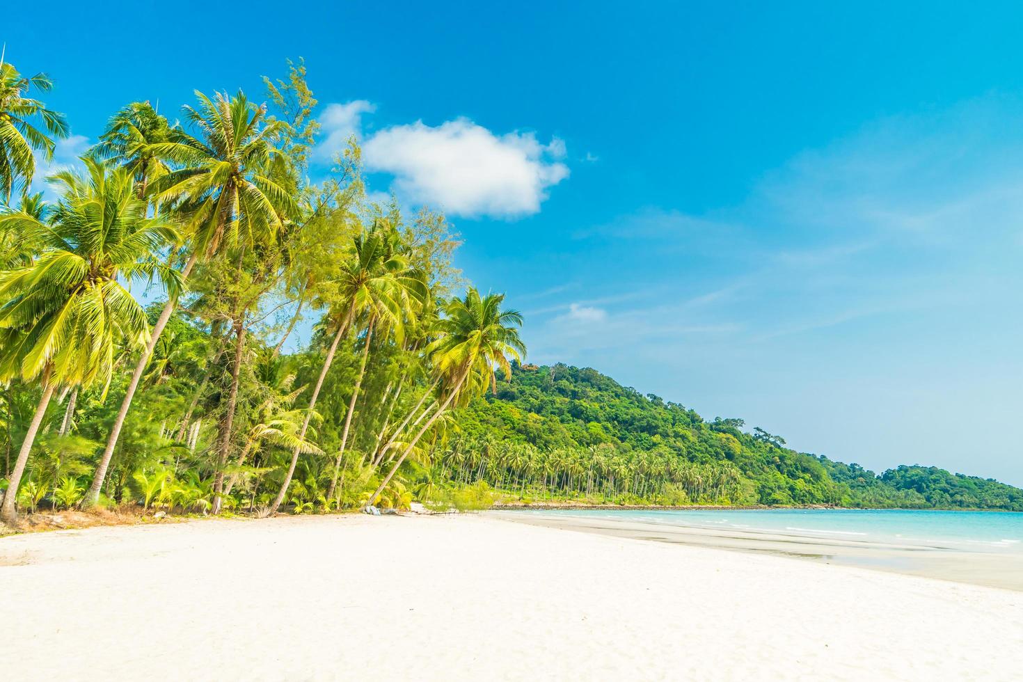 Tropical beach and sea with coconut palm trees photo