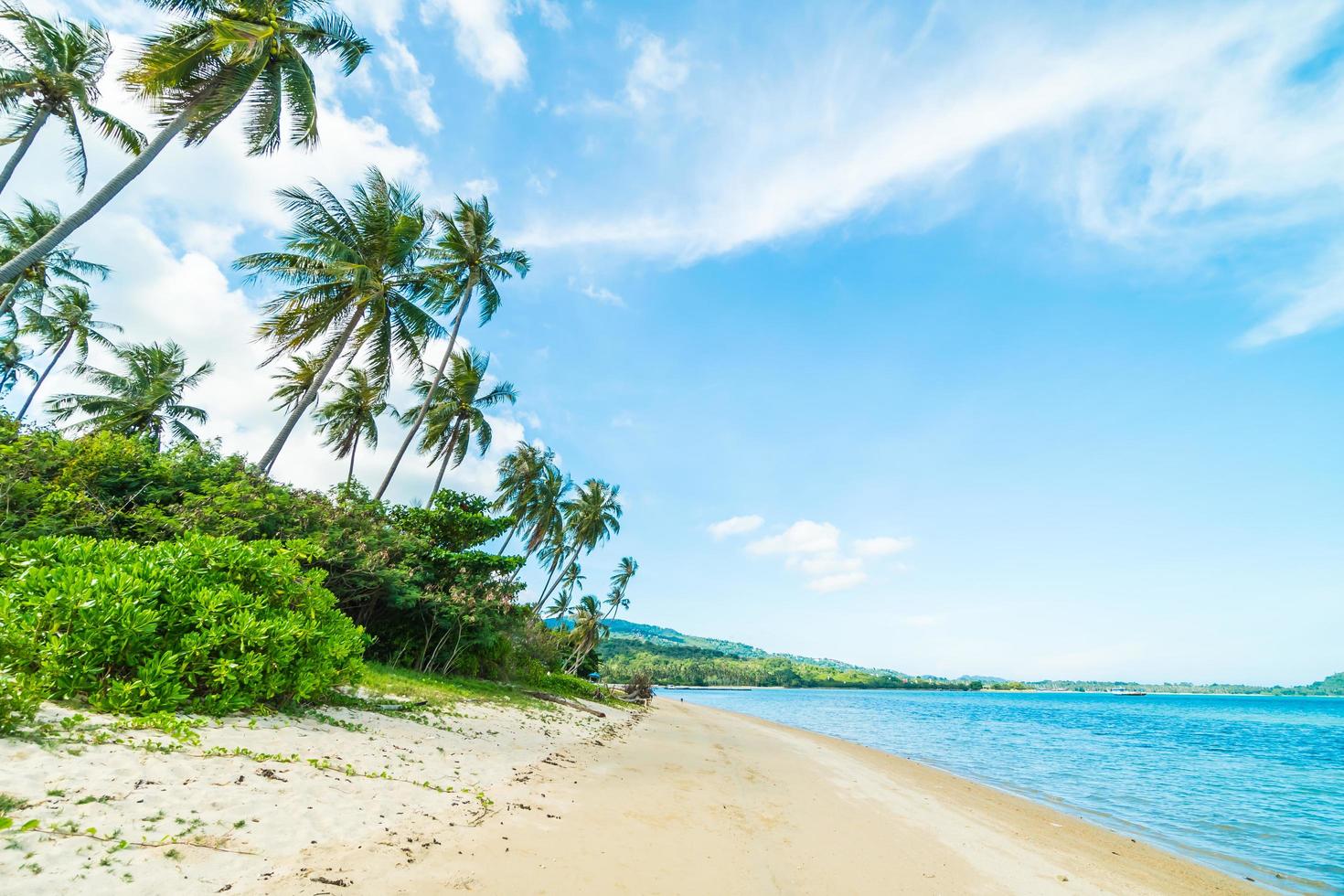 Beach on a beautiful paradise island photo