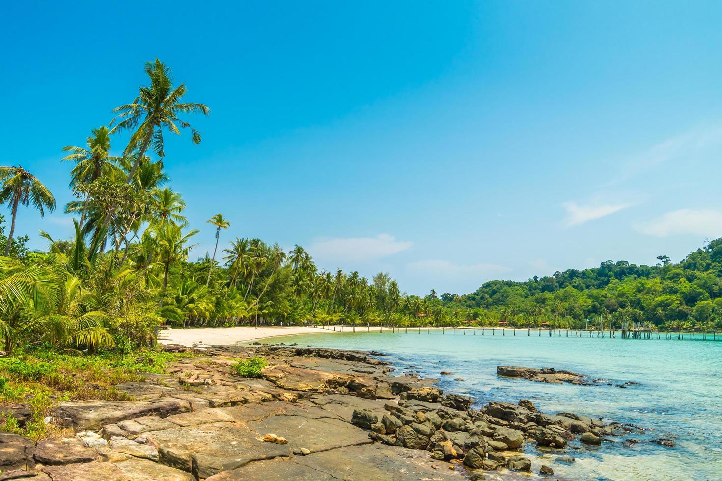 Beautiful tropical beach photo