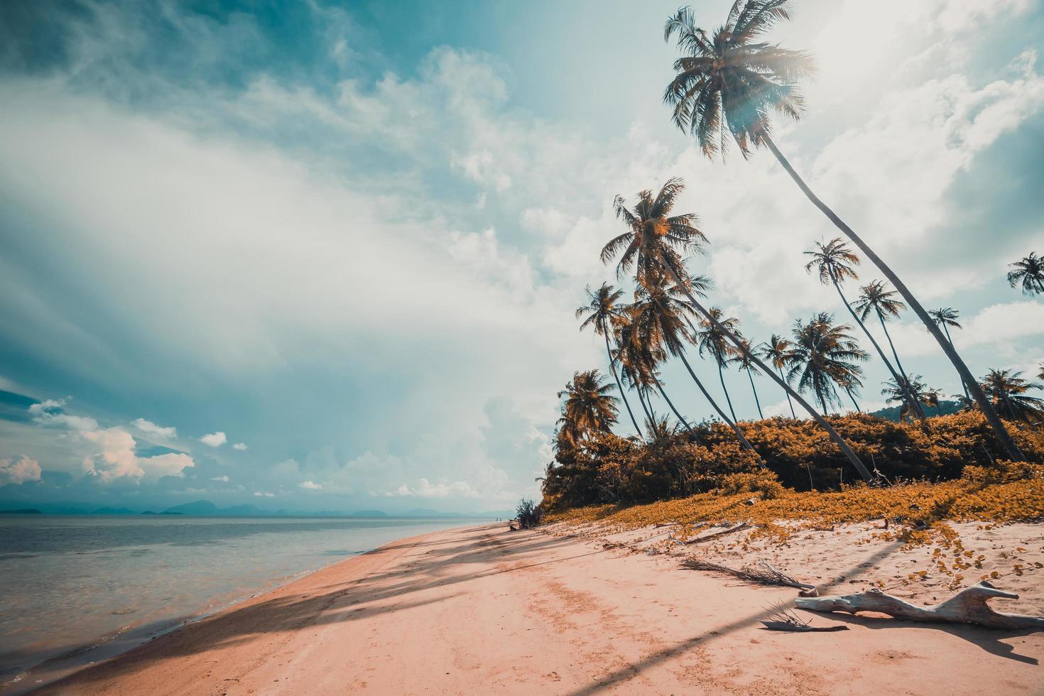 hermosa playa tropical foto