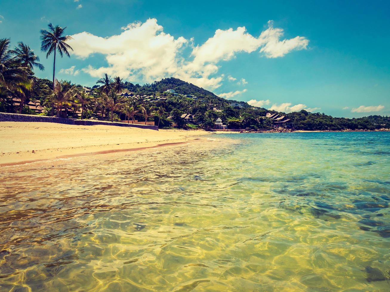 hermosa playa tropical con palmeras foto