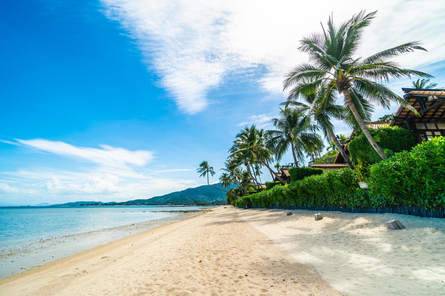 hermosa playa tropical foto