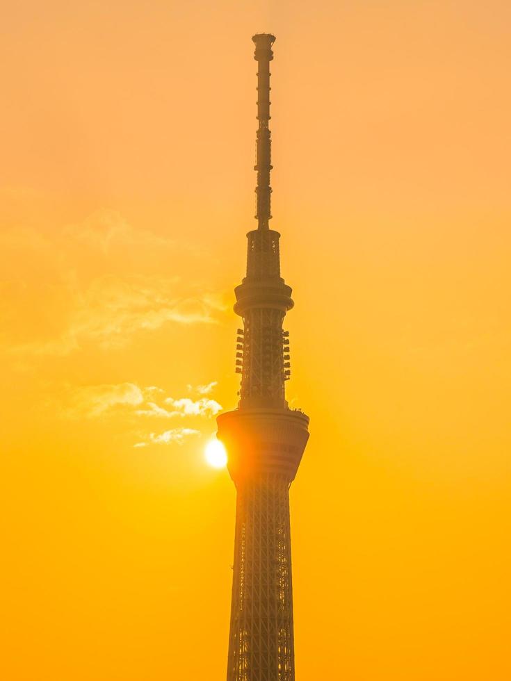 tokio sky tree en la ciudad de tokio, japón foto