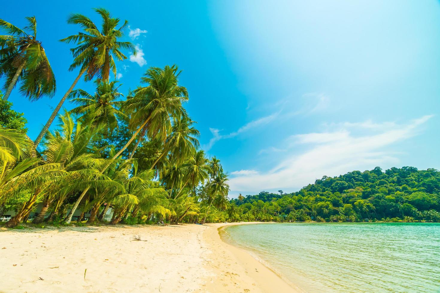 Beautiful tropical beach photo