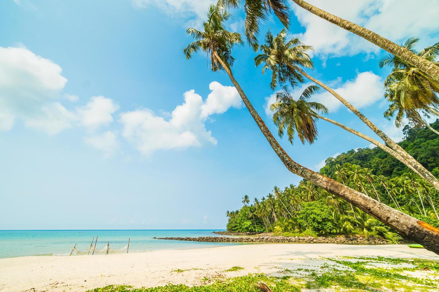 hermosa playa tropical foto