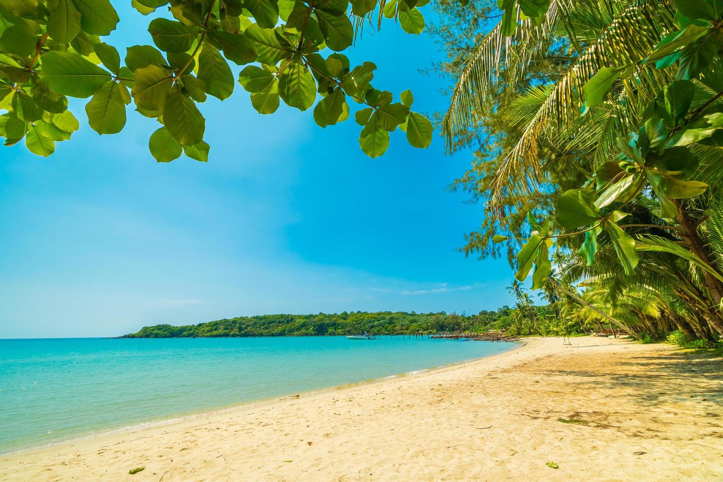 hermosa playa tropical foto