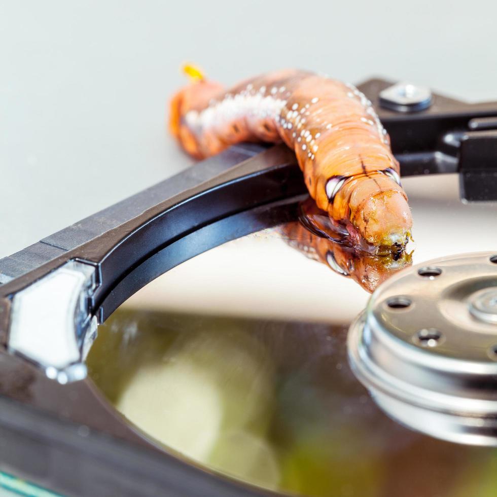 Caterpillar on metal photo