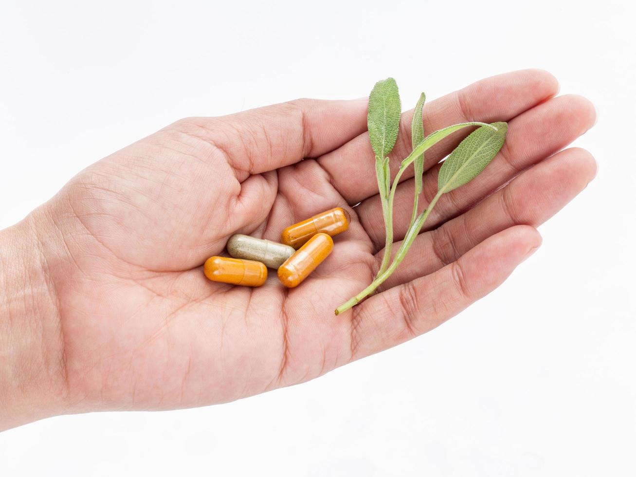 Hand holding pills and leaves photo