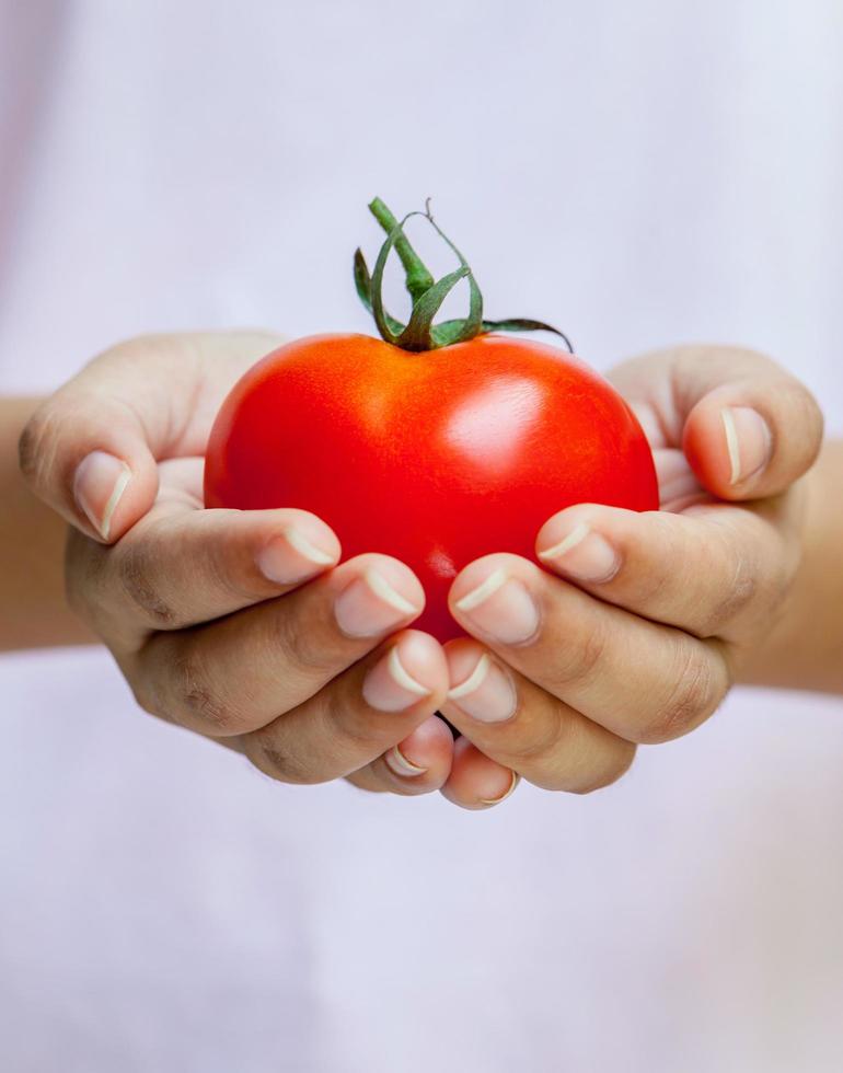 persona sosteniendo un tomate foto