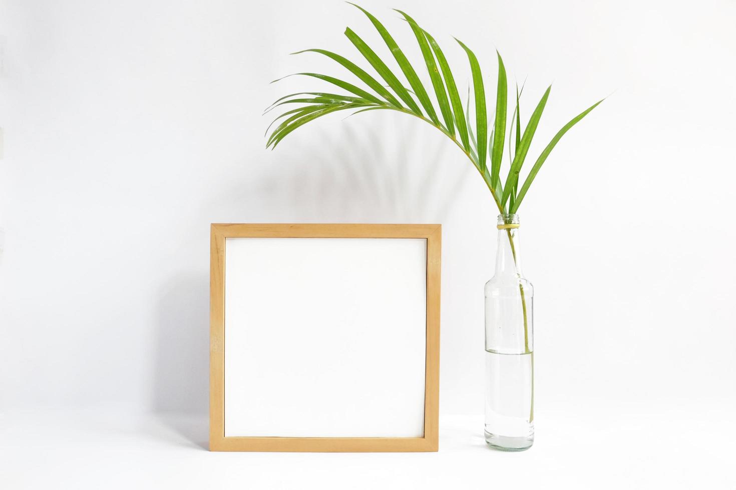 Blank frame with plant on white background photo