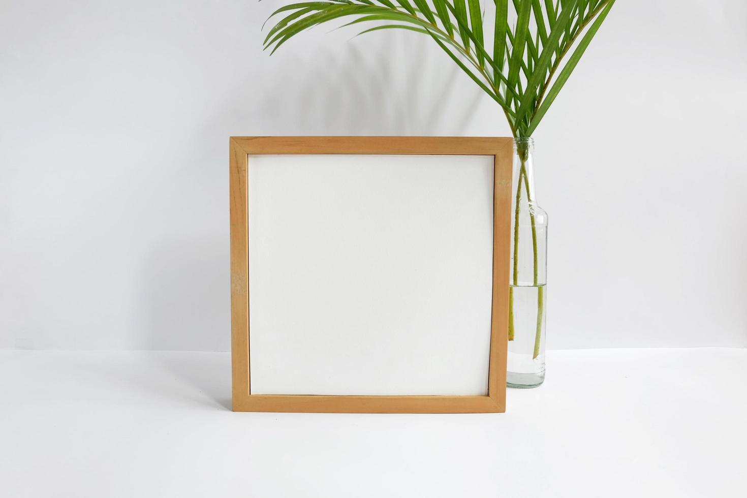 Blank frame with plant on white background photo