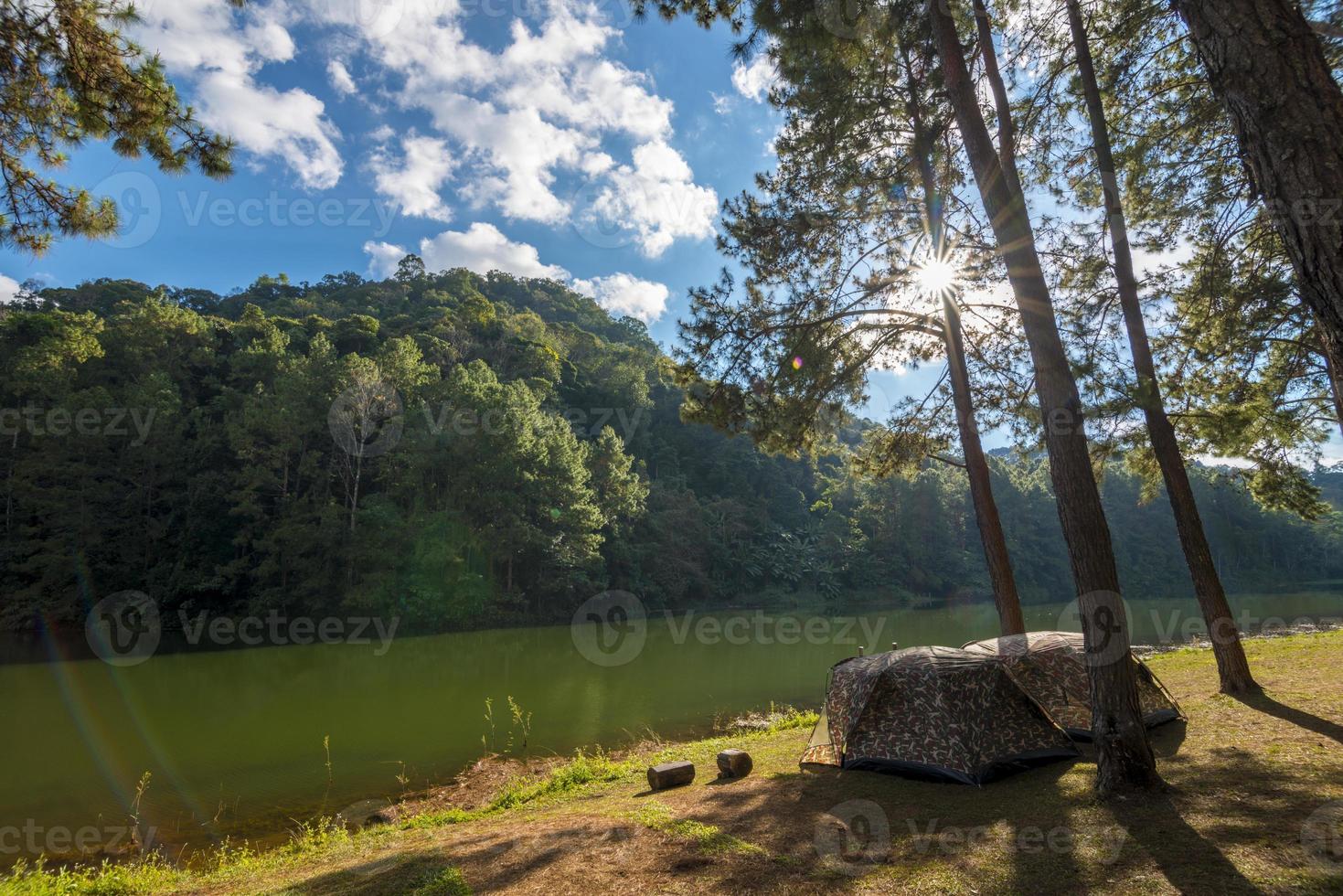 tienda de campaña bajo el bosque de pinos cerca del lago al atardecer foto