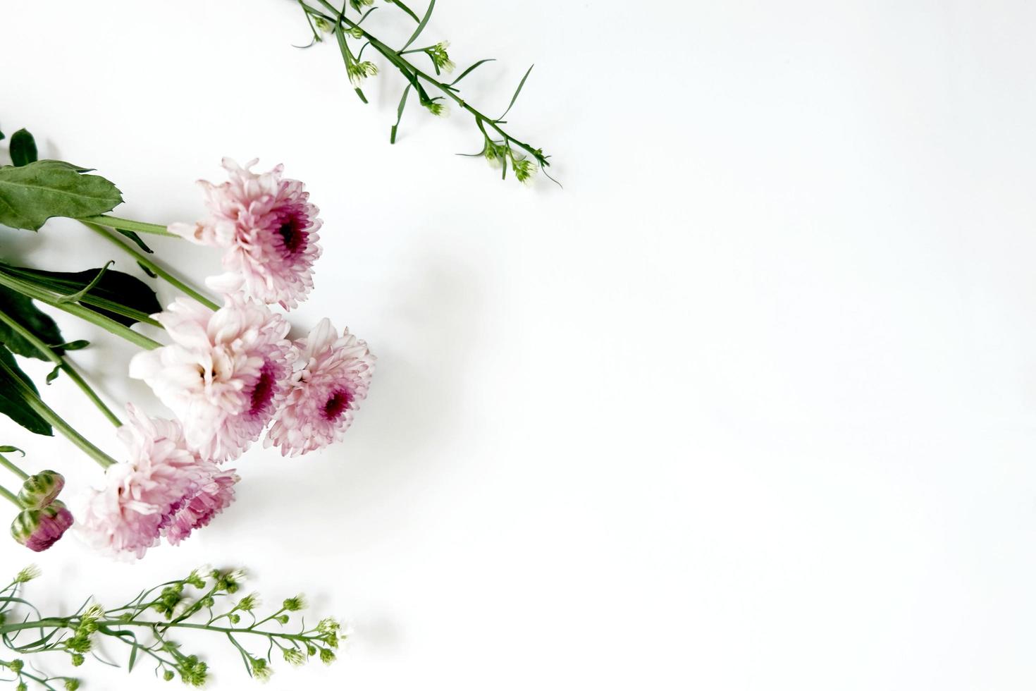 White background with pretty flowers photo