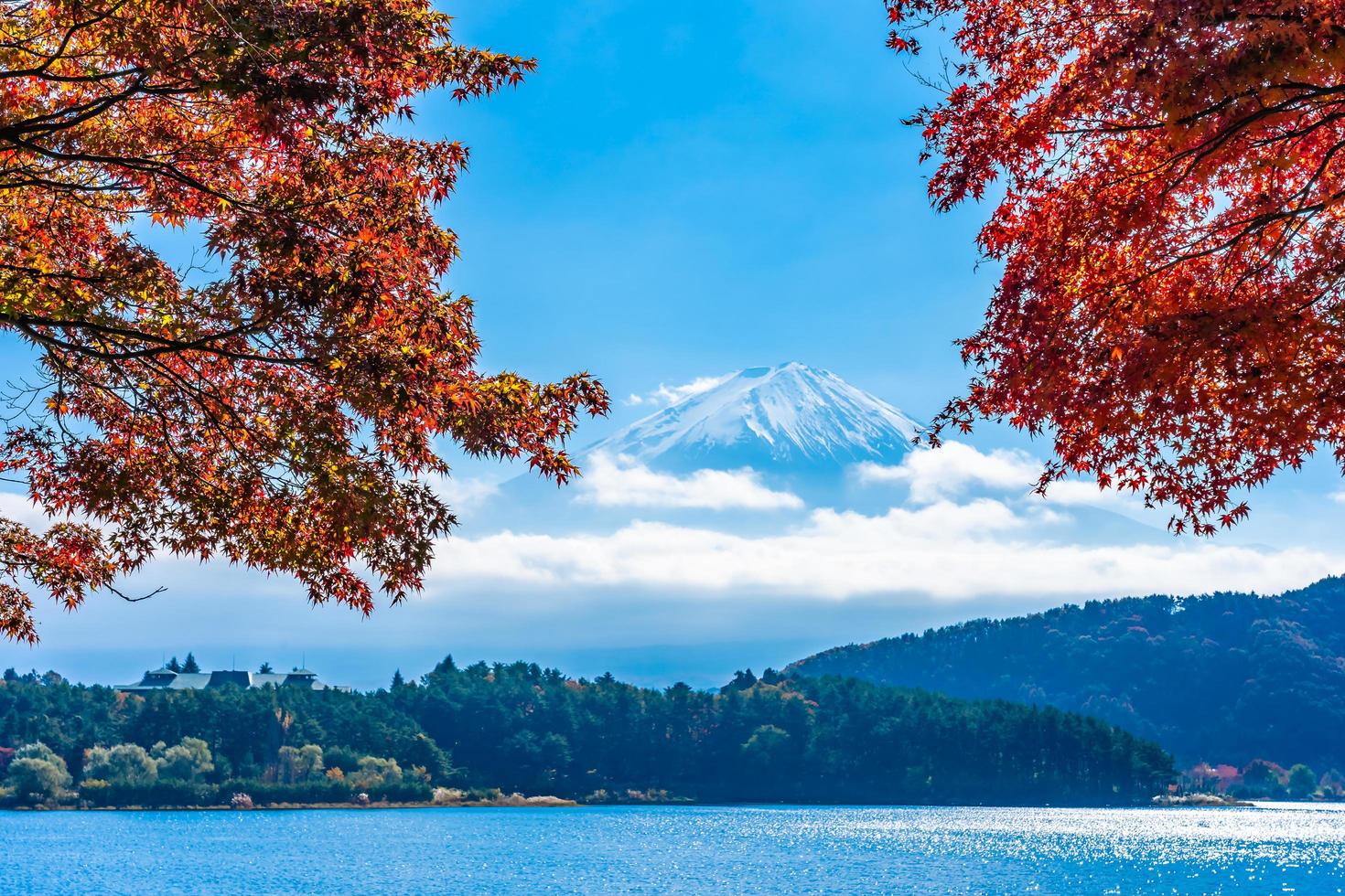 monte. fuji en japón en otoño foto