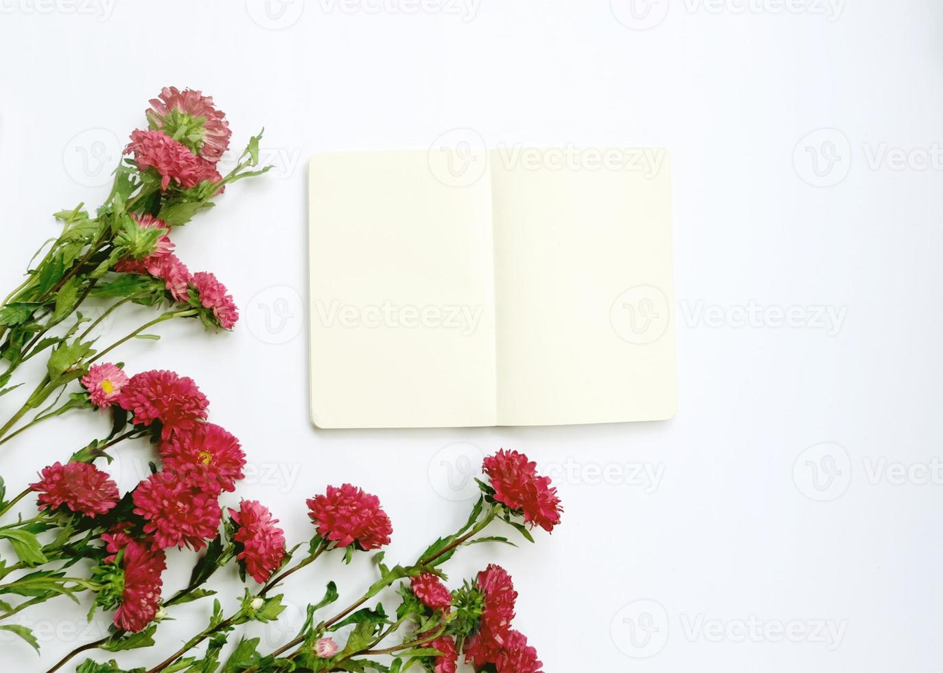 Flor de aster y cuaderno en blanco sobre fondo blanco. foto