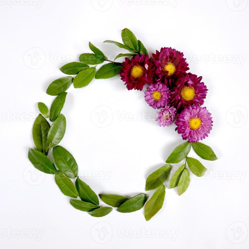 Wreath from aster flower photo