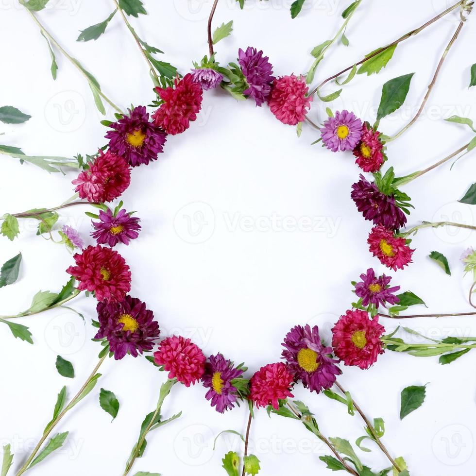 Circle frame from aster flower bouquet photo