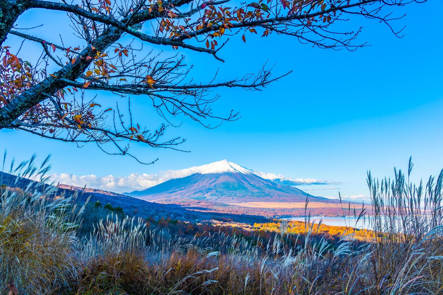 Montaña Fuji en el lago yamanakako o yamanaka en Japón foto