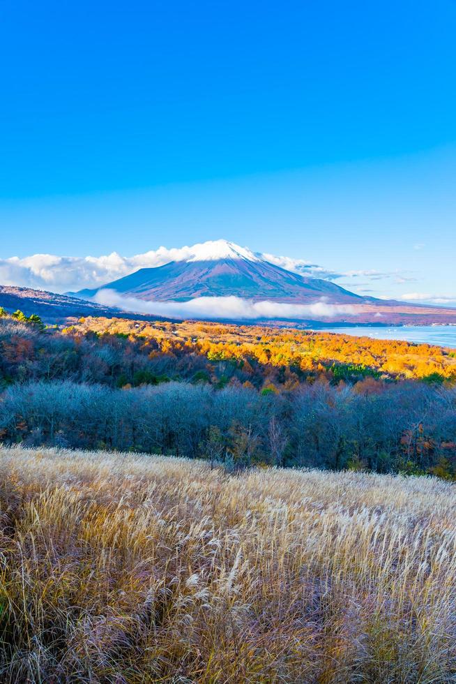 Fuji mountain at Yamanakako or Yamanaka lake in Japan photo