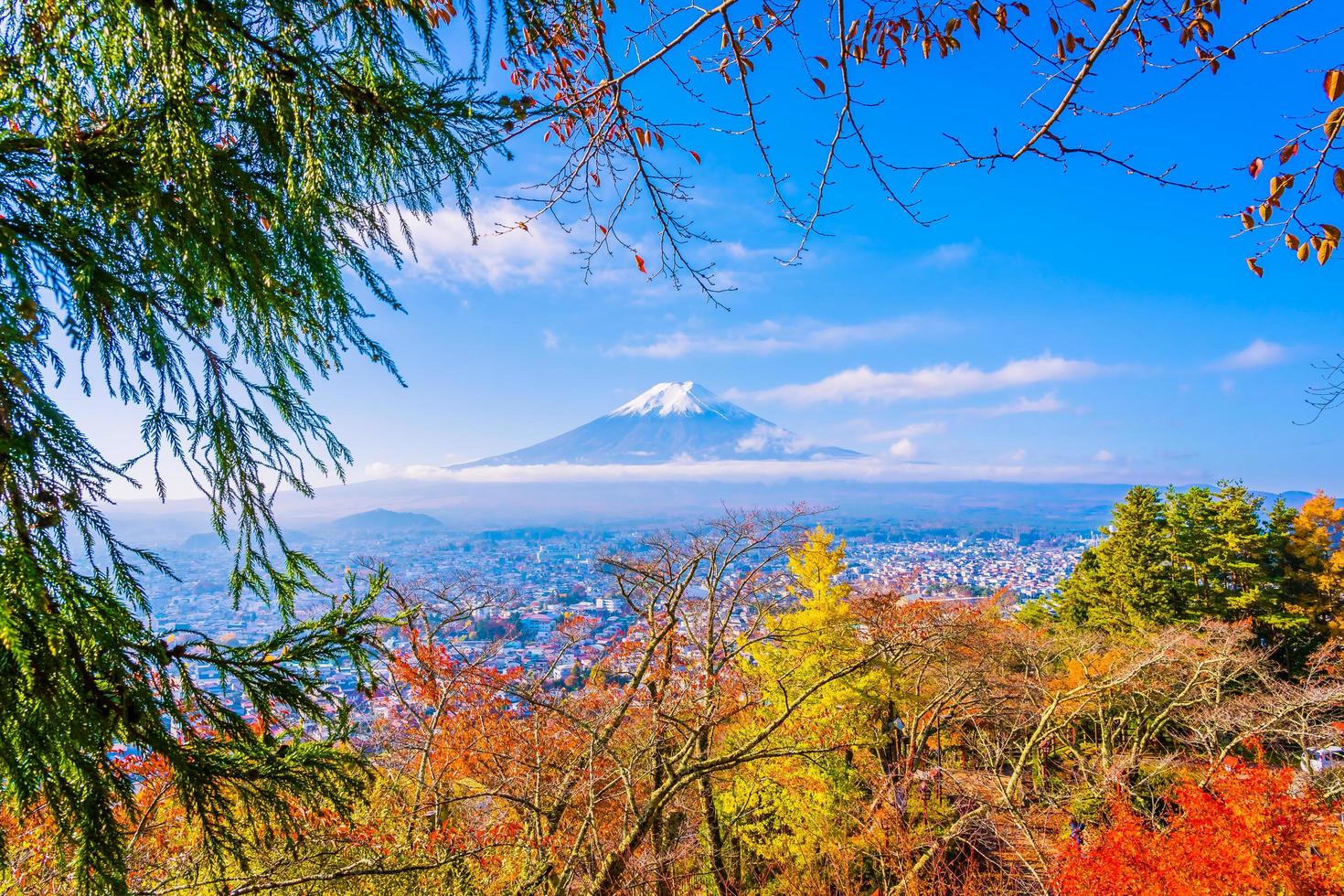 Mt. Fuji in Japan in autumn photo