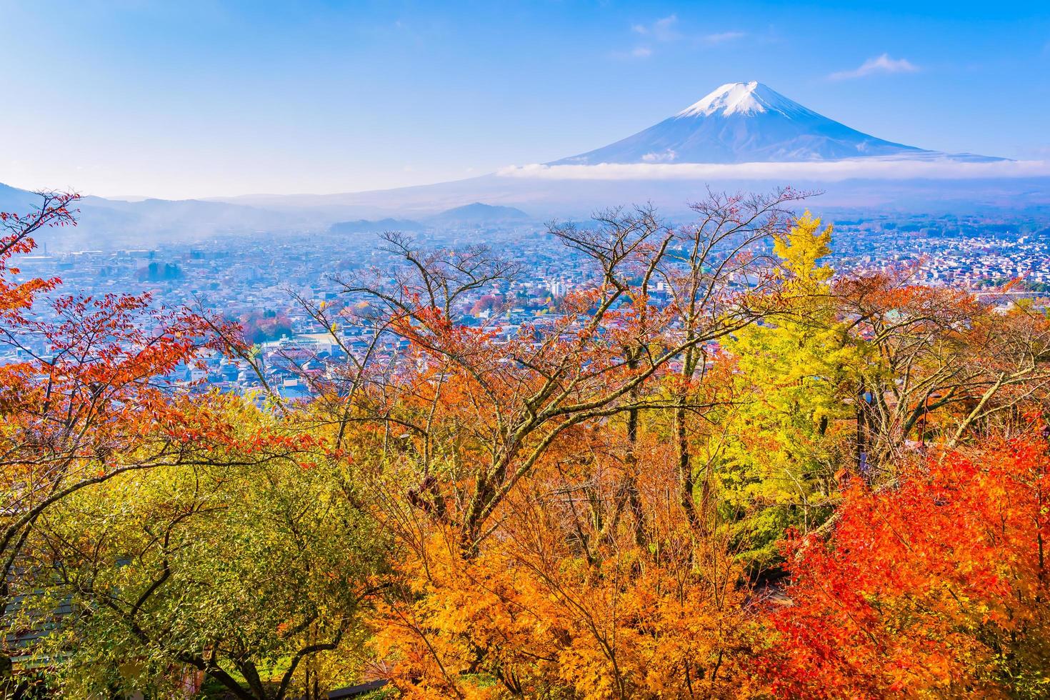 Mt. Fuji in Japan in autumn photo