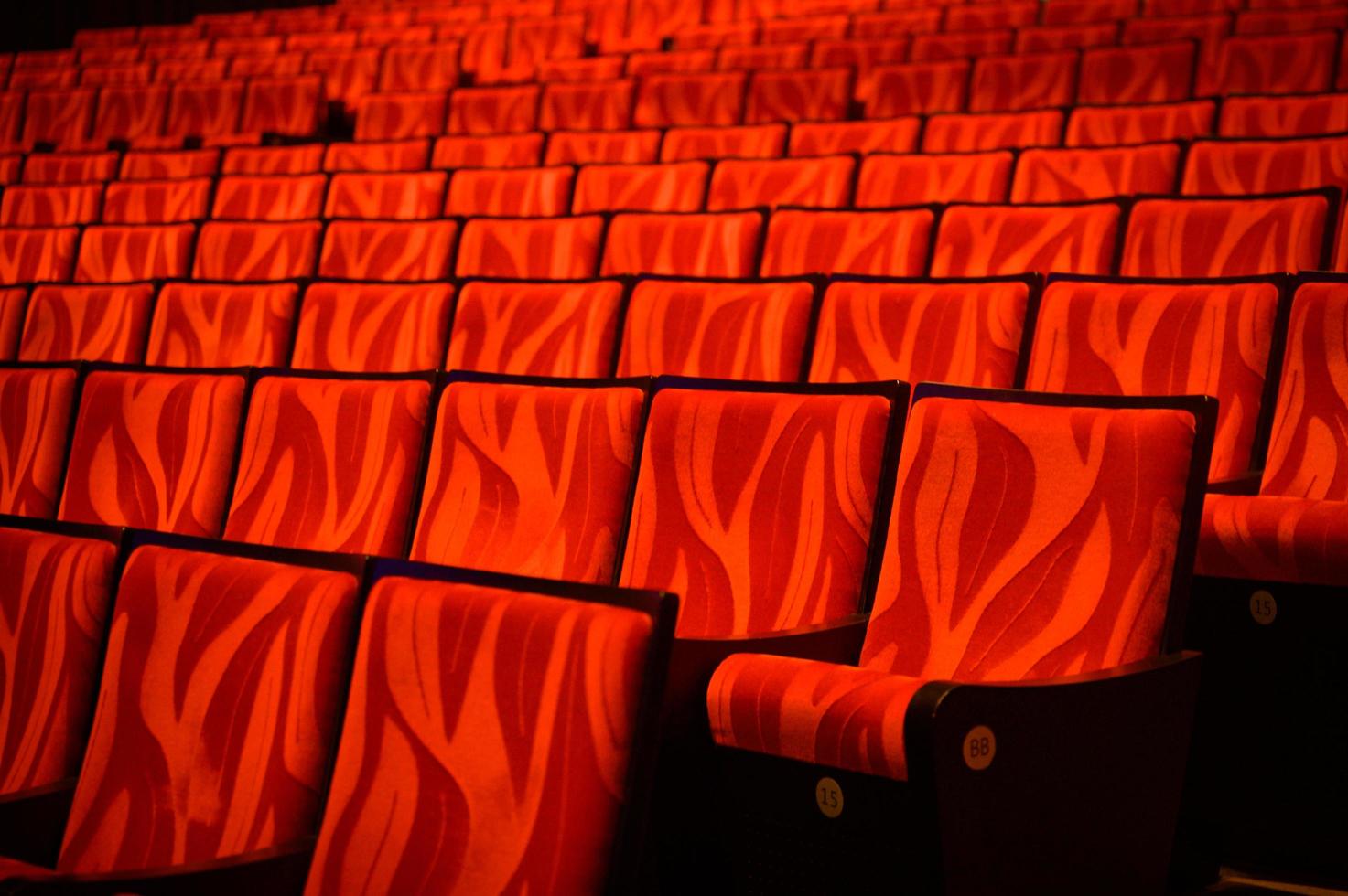 Rows of red theater seats photo